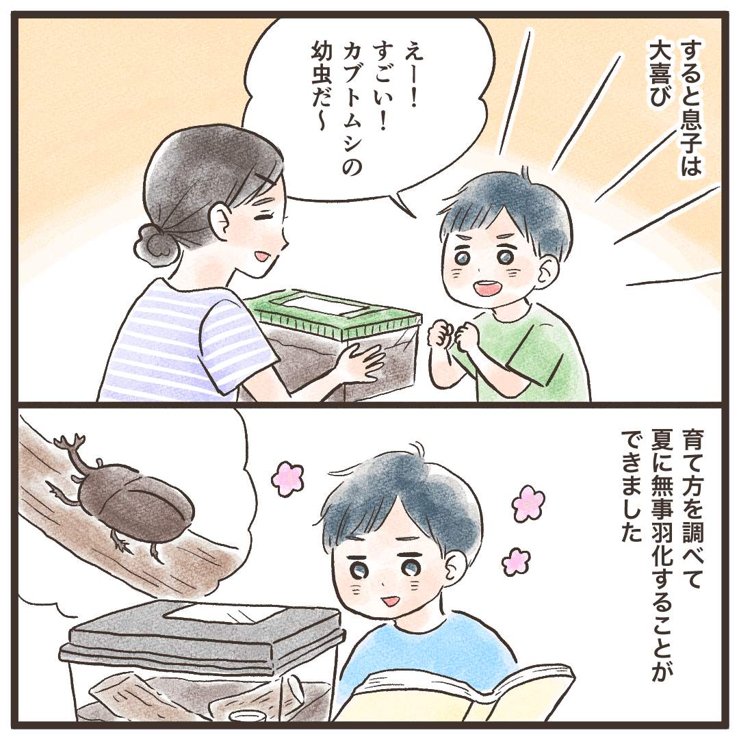 息子は大喜びで羽化させることができた