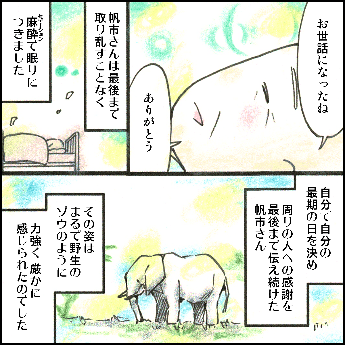 穏やかにセデーショーンをかけられ、自分で死を決めていた患者さんは野生の象のように厳かだった
